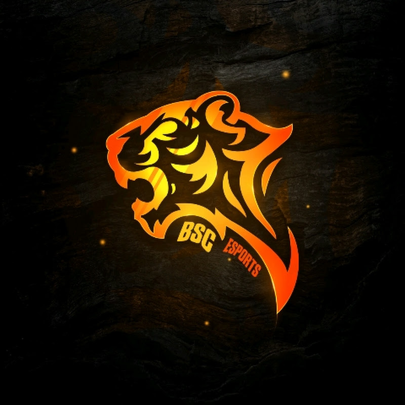 BSC E SPORTS OFFICIAL