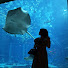 _CpoU7R0WPs-channel-avatar-lin room