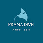 Prana Dive logo