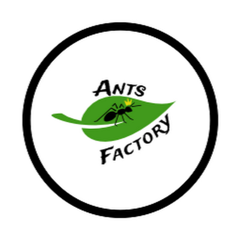 Ants Factory - hodowla zwierząt egzotycznych