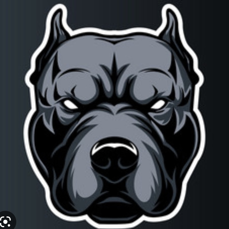 MrStellarDog7