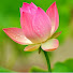 UcVeJh6hfC4-channel-avatar-HUỆ ĐỊNH