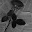 @MennaShaban-f9v