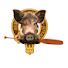 qGoG7lEjR5Q-channel-avatar-A Wild Boar Afloat
