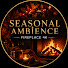 72R_xf9HkkA-channel-avatar-Seasonal Ambience | Fireplace 4K