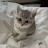 @AyaMarzouk-b3w