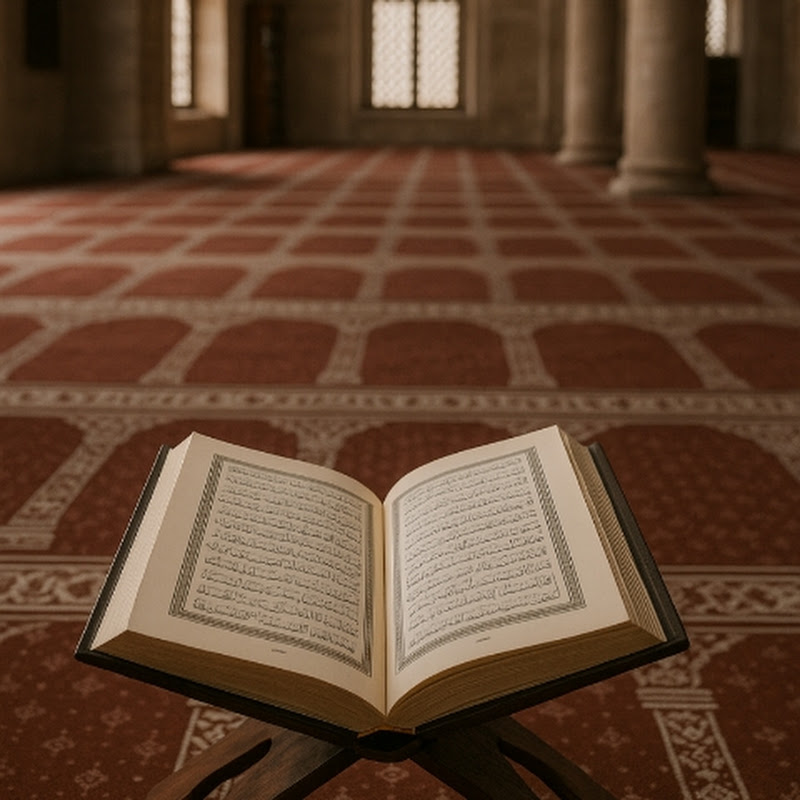 Quran🖤