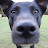@P_38_flyer Avatar