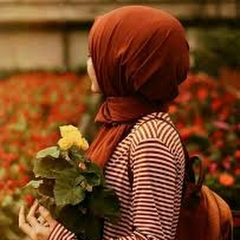 يوميات المشاهير