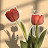 الصورة الرمزية لـ @اليمامةالعبرية