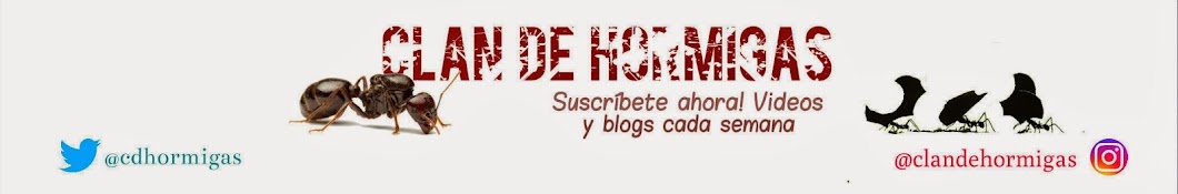 CLAN DE HORMIGAS Аватар канала YouTube