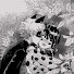 B033Vy_Hxv0-channel-avatar-𝙻𝚒𝚣𝚣𝚒𝚎 𝙻. 𝙰