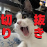 AdhO7o4j-7Y-channel-avatar-V切り抜きあまこ