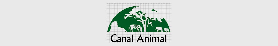 Canal Animal Avatar de chaîne YouTube