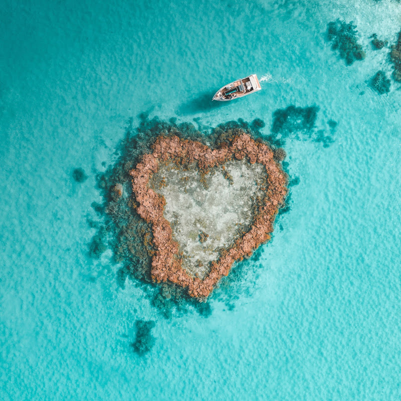 Hamilton Island