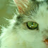JN7O1E7NrJ4-channel-avatar-just1flor