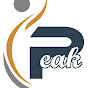 Shishu Exports Pvt Ltd logo