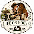 fcqAxddGOT8-channel-avatar-Life on hooves