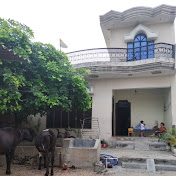 Village life style Vlog 🥰🏡