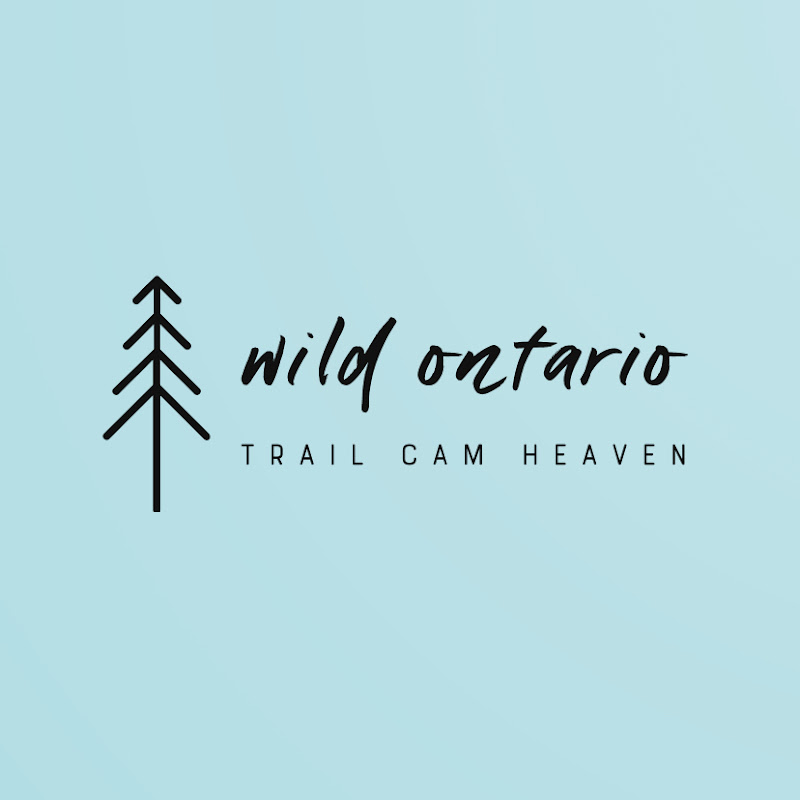 Wild Ontario Trail Cams