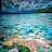 @Farooq-s4b4z