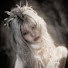 79bide5WoCQ-channel-avatar-LuxuryZoa. 