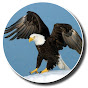 Eagle Z Avatar