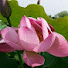 Channel Image