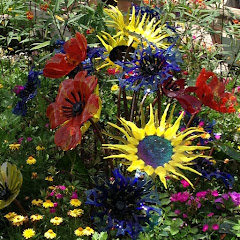 JennUWIN channel thumbnail