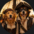 Iwb408UjlPI-channel-avatar-Black Sails Soundscapes