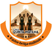 Canil Quinta Matilha (malinois)