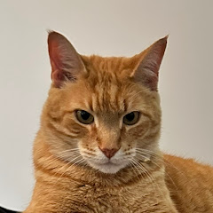 hrh