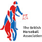 British Horseball Association logo