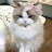 @KingUiop-fk2gy