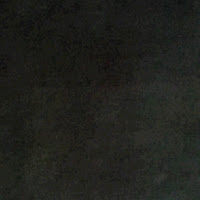 paleskin06 profile image