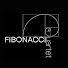 uT6lB6VSEIk-channel-avatar-Fibonacci Quartet