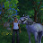 @P_starstable