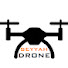 NLsvPSD2wrk-channel-avatar-seyyah drone