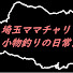 ncsNKSwOTCA-channel-avatar-埼玉ママチャリ小物釣りの日常