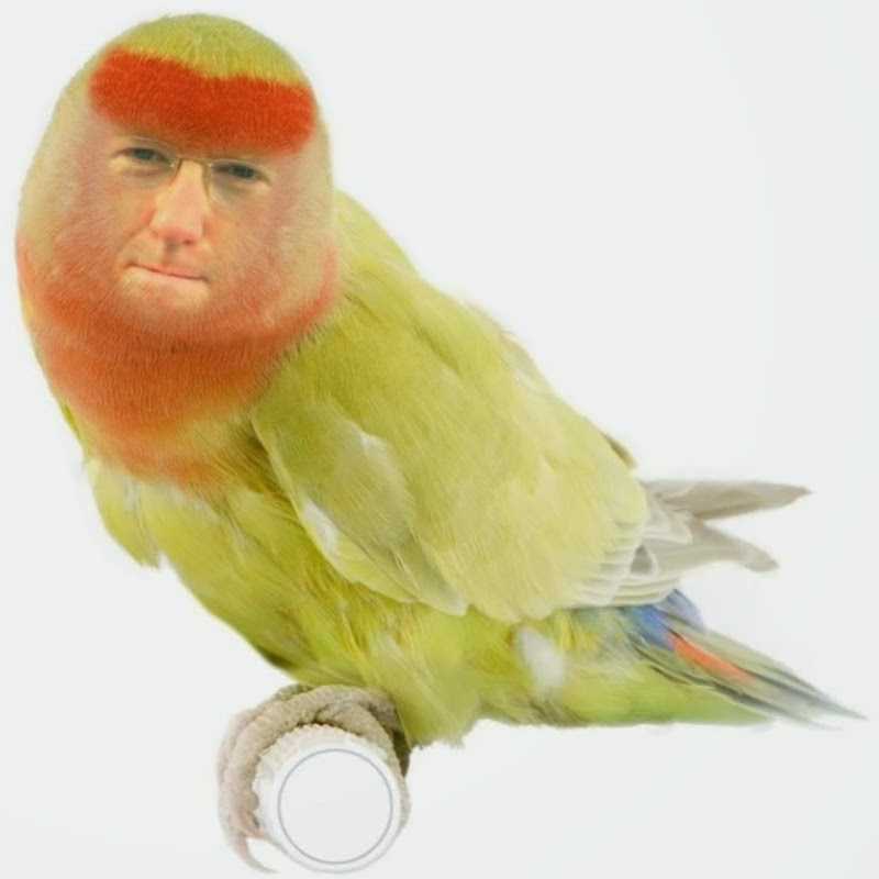 BEDOJAMES