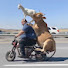 03kI6hDJ3bk-channel-avatar-AWH Funny Moments 