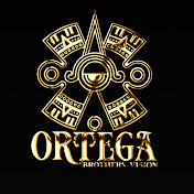 OrtegaBrothersVision