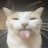 @KitSune84_PL