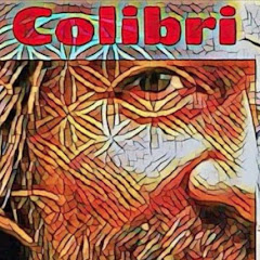 Dj Colibri
