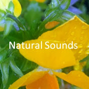 Natural Sounds ナチュラルサウンズ