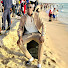 pkmTNoHjjHc-channel-avatar-Yacoub Vaybs