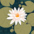 @HealingNature-p6u