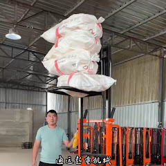 Mini Electric Forklift