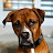 @KingKlutch007 Avatar