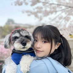 りみたんのレトロゲーム実況